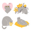 Cute british shorthair cat vector collection 6
