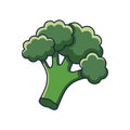 Cute Broccoli cartoon icon illustration. Food vegitable flat icon concept isolated