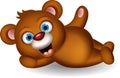 Cute brown bear cartoon posing