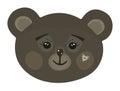 Cute brown bear muzzle