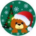 Cute brown bear with santa cap, christmas tree and snowflakes in background