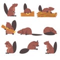 Cute Brown Beavers Set, Wild Rodent Animals Cartoon Vector Illustration Royalty Free Stock Photo