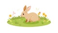 Cute Brown Bunny Rabbit Sitting in Grass, vector design Generative AI Royalty Free Stock Photo