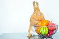 Cute brown bunny with fresh fruit