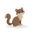 Cute brown cartoon cat sitting. Domestic farm animal. Pet drawing. Flat comic style. Ideal for education. Vector illustration Royalty Free Stock Photo