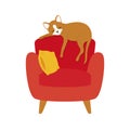 Cute brown cat sleeping on a red armchair icon vector Royalty Free Stock Photo