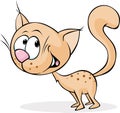 Cute brown cat standing on brown background - vector Royalty Free Stock Photo