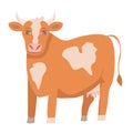 Cute brown cow isolated on white transparent background. Royalty Free Stock Photo