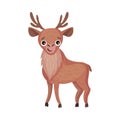 Cute Brown Deer with Horns as Herbivore Forest Animal Vector Illustration