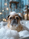 Cute brown dog taking bubble bath with foam and soap in bright bathroom Royalty Free Stock Photo