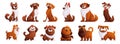 Cute brown dogs vector set. Cartoon characters of dogs or puppies create a collection with different breeds. Set of Royalty Free Stock Photo