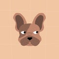 Cute brown french bulldog.Dog head cartoon. Pedigree dogs vector illustration.