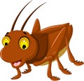 Cute brown grasshopper cartoon