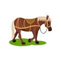 Cute brown horse with blonde mane and tail. Hoofed mammal animal with saddle on back. Flat vector design Royalty Free Stock Photo