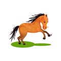 Cute brown horse in running by green grass. Animal with hooves, black flowing mane and long tail. Flat vector design Royalty Free Stock Photo
