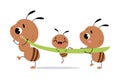 Cute Brown Little Ant Carry Green Grass Blade Together Vector Illustration