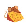 Cute brown mouse eating big piece of cheese, funny rodent character cartoon vector Illustration on a white background Royalty Free Stock Photo