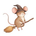 Cute Brown Mouse Flying on Broom Halloween Illustration Royalty Free Stock Photo