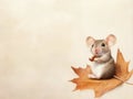 Cute brown mouse is sitting on an autumn leaf Royalty Free Stock Photo