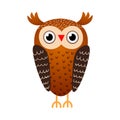 Cute brown owl bird, wild from autumn forest Royalty Free Stock Photo