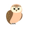 Cute brown owl cartoon standing vector illustration Royalty Free Stock Photo