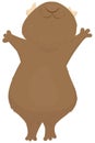 Cute brown plump guinea pig is standing on its hind legs with its muzzle raised up, cute domestic rodent, vector illustration Royalty Free Stock Photo