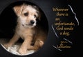 Cute brown puppy illustrating Lamartine quotation