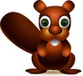 Cute brown squirrel cartoon