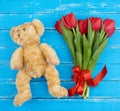 Cute brown teddy bear and bouquet of red blooming tulips with green stems and leaves tied with a red silk ribbon Royalty Free Stock Photo