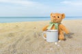 Cute brown teddy bear sitting on the beach with a coffee cup. Concept for relaxation, comfort and holiday with copy space