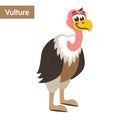 Cute brown vulture with a pink neck.