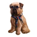 Cute Brussels Griffon with glasses and a neckerchief Royalty Free Stock Photo