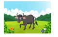 Cute buffalo cartoon