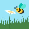 Cute bug. Cartoon bee flying to flower. Summer nature. Insect pollinating chamomile. Meadow grass and blossoms. Yellow Royalty Free Stock Photo