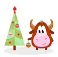 Cute bull decorates Christmas tree. Chinese new year 2021 illustration with ox holding christmas tree toy decorating for Royalty Free Stock Photo