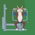 A cute bull is engaged in a power simulator. Keeping fit, healthy lifestyle. Symbol of the year, vector illustration