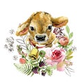 Cute Bull. farm animal illustration. Watercolor hand drawn calf