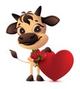 Cute bull holding heart and bouquet of roses valentines day gift Royalty Free Stock Photo