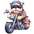 Cute Bulldog American Motorcycle Clipart Illustration AI Generative