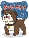 Cute Bulldog with Doodles in Bone`s Sign, Vector Illustration