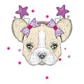 Cute bulldog in the festive rim with the stars. Vector illustration for a postcard or a poster. Purebred puppy. Beautiful dog.