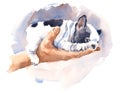 Cute Bulldog Puppy Watercolor Dog Breed Animal Illustration Hand Painted