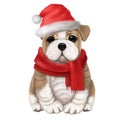 Cute bulldog in santa claus hat, watercolor style illustration, holiday clipart, animal portrait