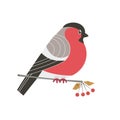 Cute Bullfinch bird icon