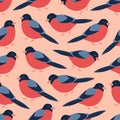 Cute bullfinch hand drawn vector illustration. Adorable winter bird seamless pattern. Royalty Free Stock Photo