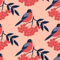 Cute bullfinch and rowan berry hand drawn vector illustration. Adorable winter bird and red berries seamless pattern. Royalty Free Stock Photo