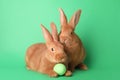 Cute bunnies and Easter egg on green background Royalty Free Stock Photo