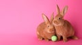 Cute bunnies and Easter egg on pink background Royalty Free Stock Photo