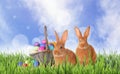 Cute bunnies and wicker basket with colorful Easter eggs on green grass outdoors Royalty Free Stock Photo