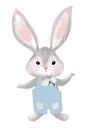 Cute bunny in blue overalls, cute childish animal character for invitation, greeting card, birthday. Cartoon vector character
